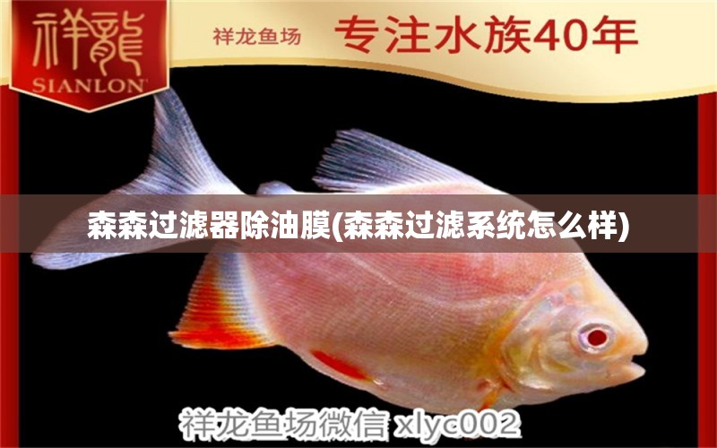 森森过滤器除油膜(森森过滤系统怎么样) 水族品牌 第1张