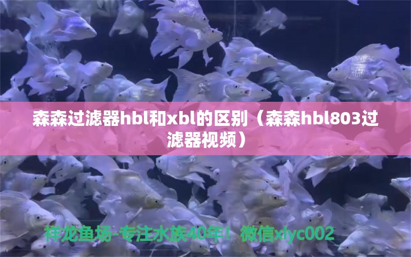 森森过滤器hbl和xbl的区别（森森hbl803过滤器视频）