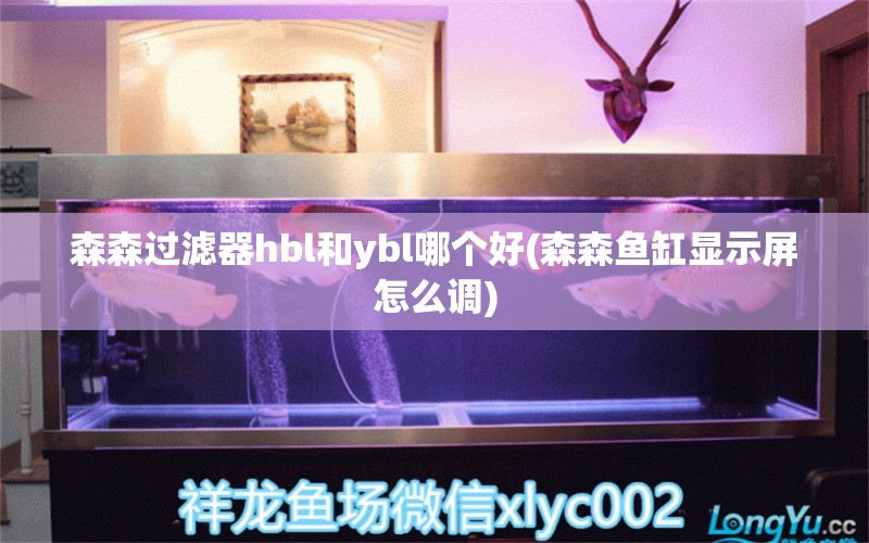 森森过滤器hbl和ybl哪个好(森森鱼缸显示屏怎么调)