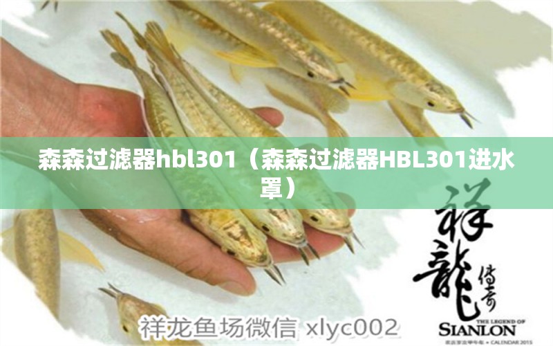 森森过滤器hbl301（森森过滤器HBL301进水罩）