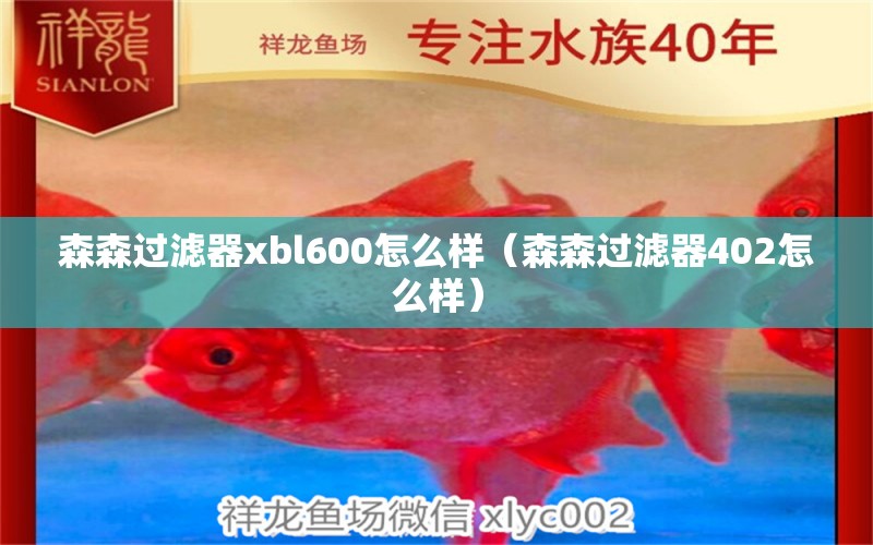 森森过滤器xbl600怎么样（森森过滤器402怎么样）