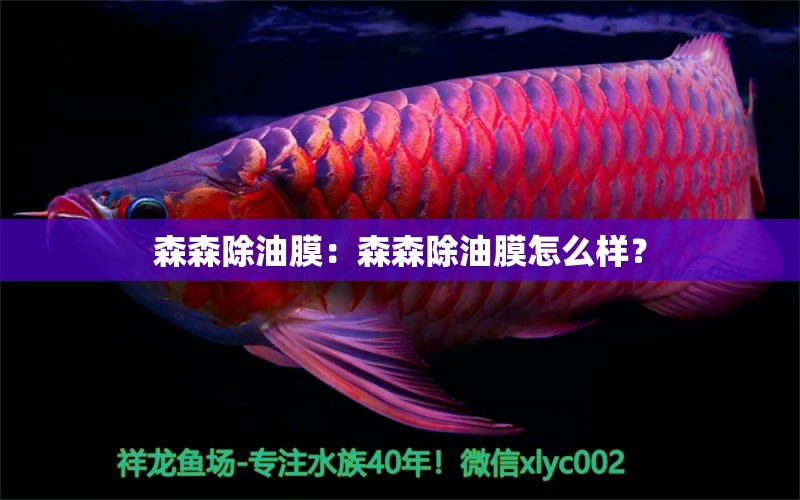 森森除油膜：森森除油膜怎么样？ 森森鱼缸 第2张