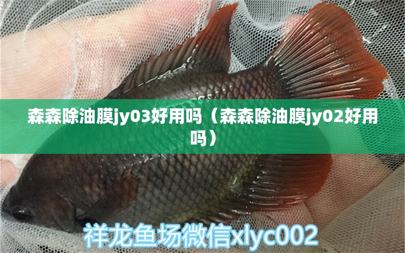 森森除油膜jy03好用吗（森森除油膜jy02好用吗）