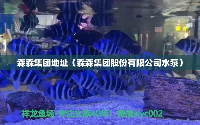 森森集团地址（森森集团股份有限公司水泵） 森森鱼缸