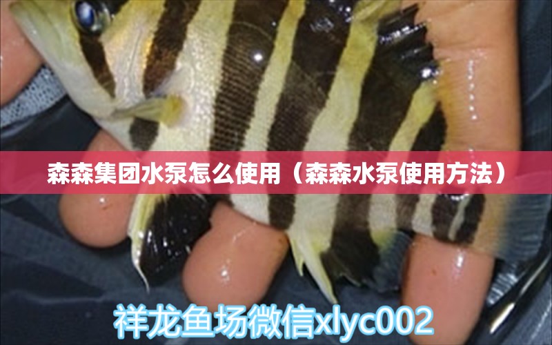 森森集团水泵怎么使用（森森水泵使用方法）