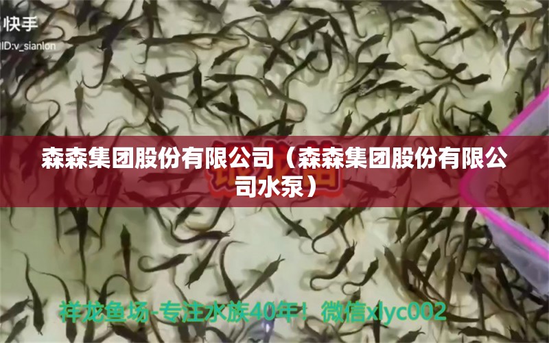 森森集团股份有限公司（森森集团股份有限公司水泵） 全国水族馆企业名录