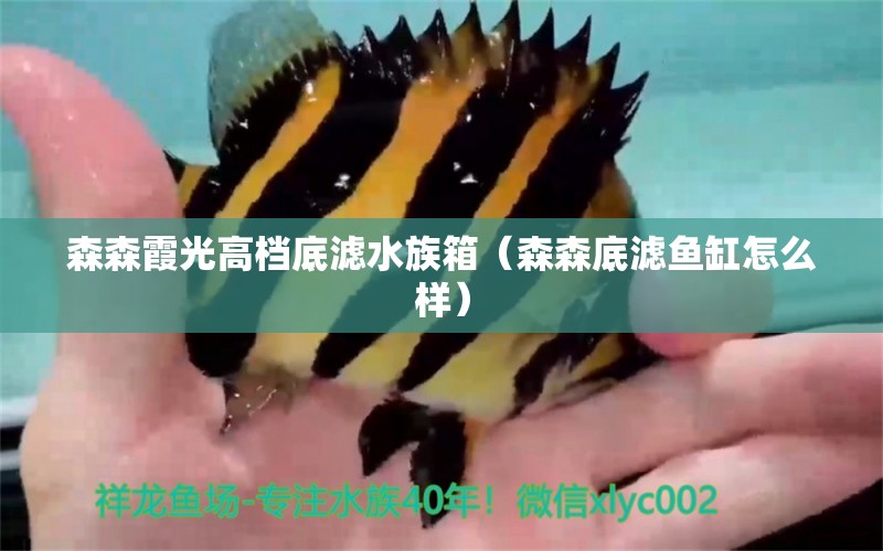 森森霞光高档底滤水族箱（森森底滤鱼缸怎么样） 鱼缸/水族箱