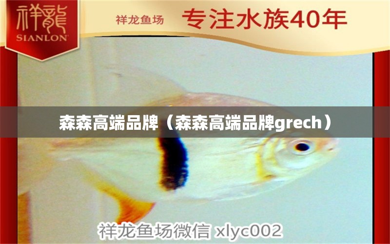 森森高端品牌（森森高端品牌grech）