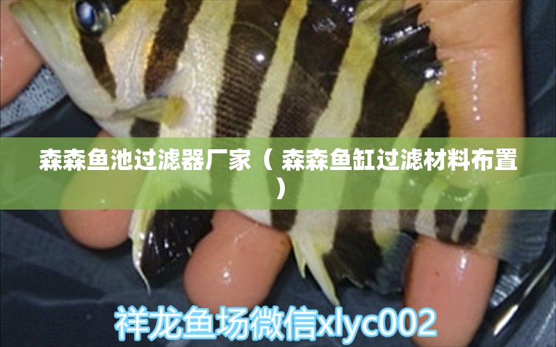 森森鱼池过滤器厂家（ 森森鱼缸过滤材料布置） 鱼缸水泵 第1张