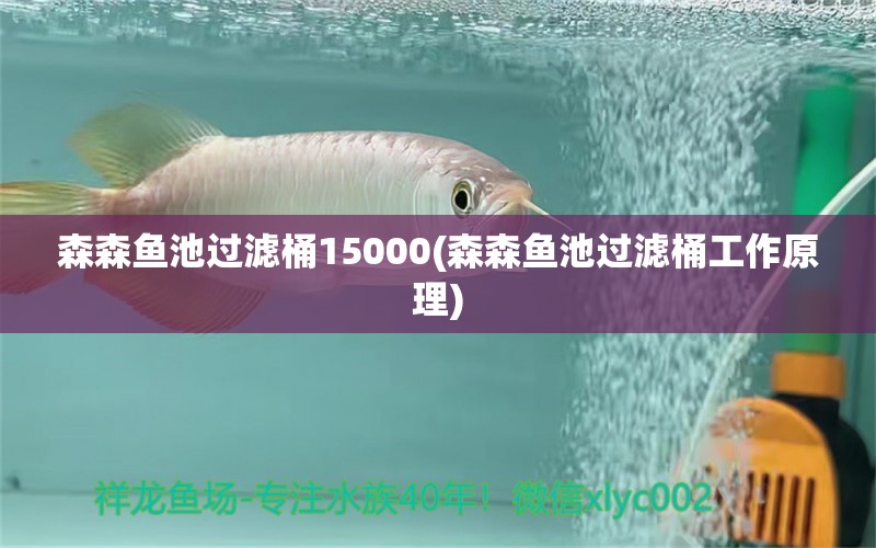 森森鱼池过滤桶15000(森森鱼池过滤桶工作原理)