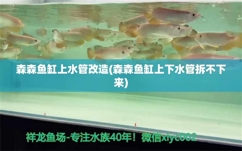 森森鱼缸上水管改造(森森鱼缸上下水管拆不下来) 定时器/自控系统 第1张