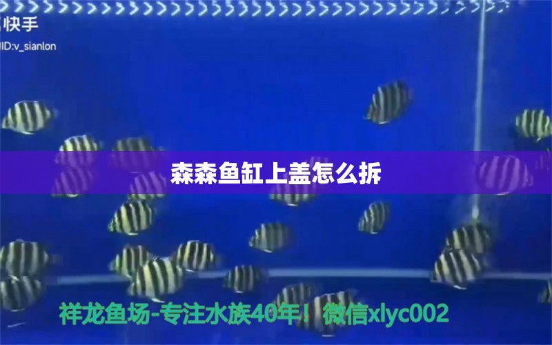 森森鱼缸上盖怎么拆 水族问答 第1张