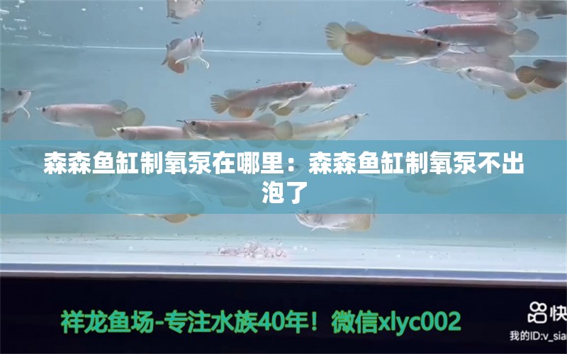 森森鱼缸制氧泵在哪里：森森鱼缸制氧泵不出泡了 养鱼知识