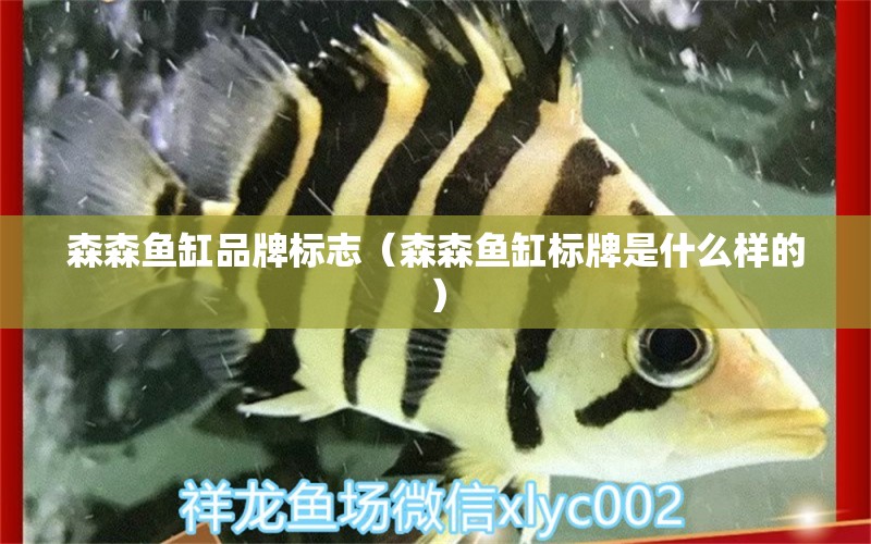 森森鱼缸品牌标志（森森鱼缸标牌是什么样的）