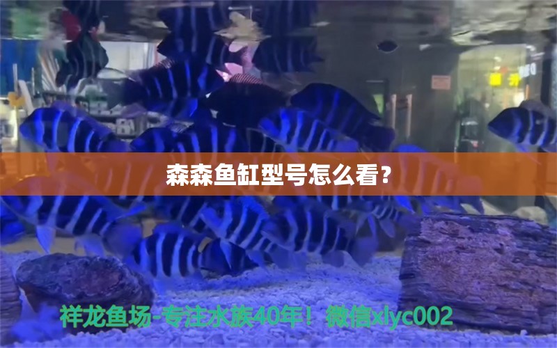 森森鱼缸型号怎么看？