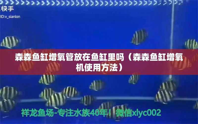 森森鱼缸增氧管放在鱼缸里吗（森森鱼缸增氧机使用方法）