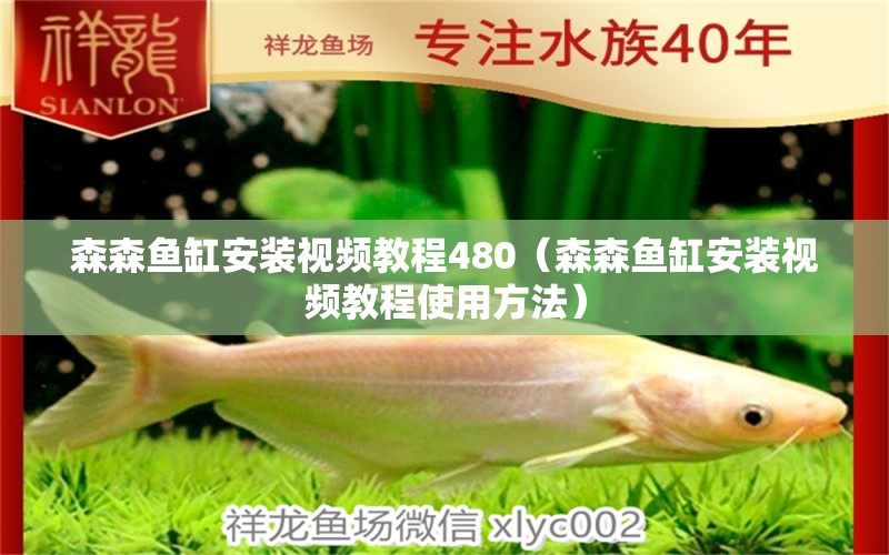 森森鱼缸安装视频教程480（森森鱼缸安装视频教程使用方法）