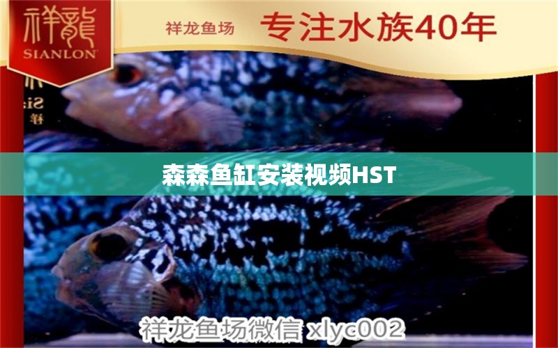 森森鱼缸安装视频HST 过滤设备