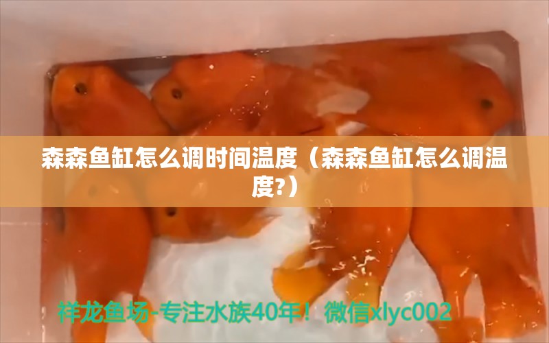 森森鱼缸怎么调时间温度（森森鱼缸怎么调温度?）