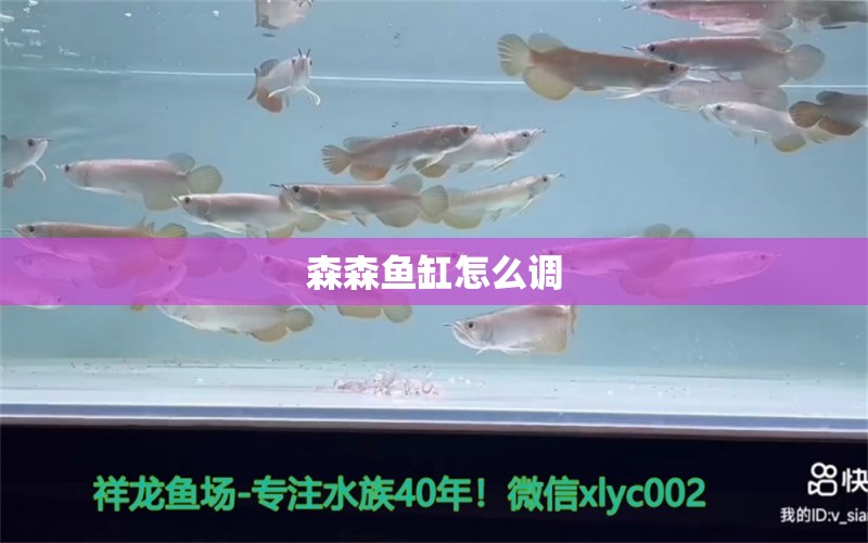 森森鱼缸怎么调 森森鱼缸 第1张