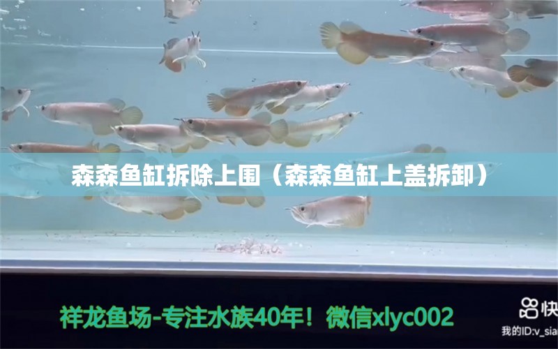 森森鱼缸拆除上围（森森鱼缸上盖拆卸） 广州龙鱼批发市场
