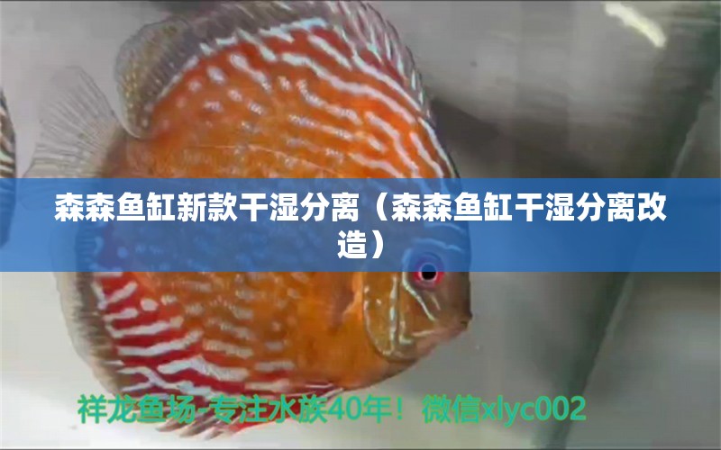 森森鱼缸新款干湿分离（森森鱼缸干湿分离改造）