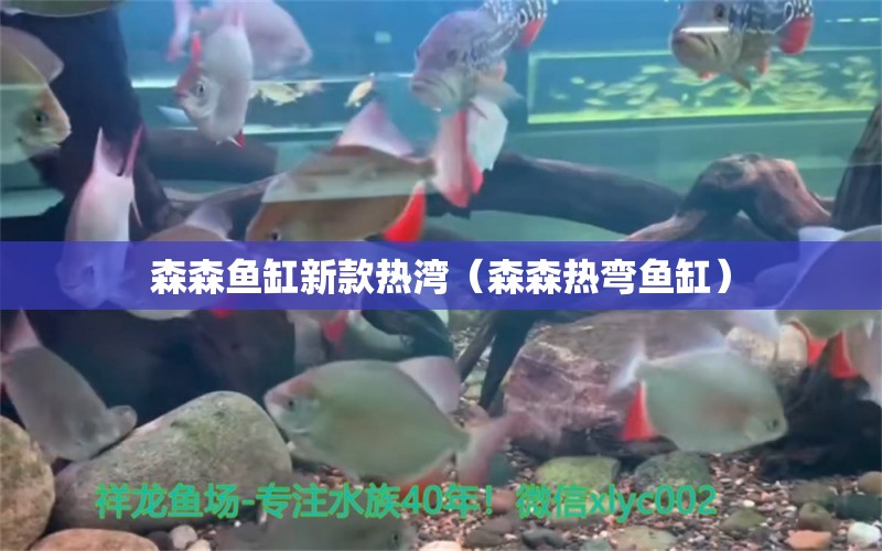 森森鱼缸新款热湾（森森热弯鱼缸） 祥龙水族医院