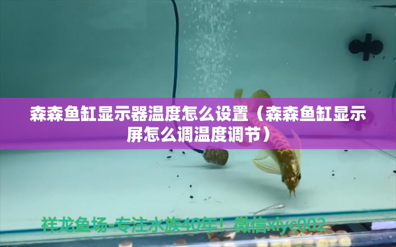 森森鱼缸显示器温度怎么设置（森森鱼缸显示屏怎么调温度调节）