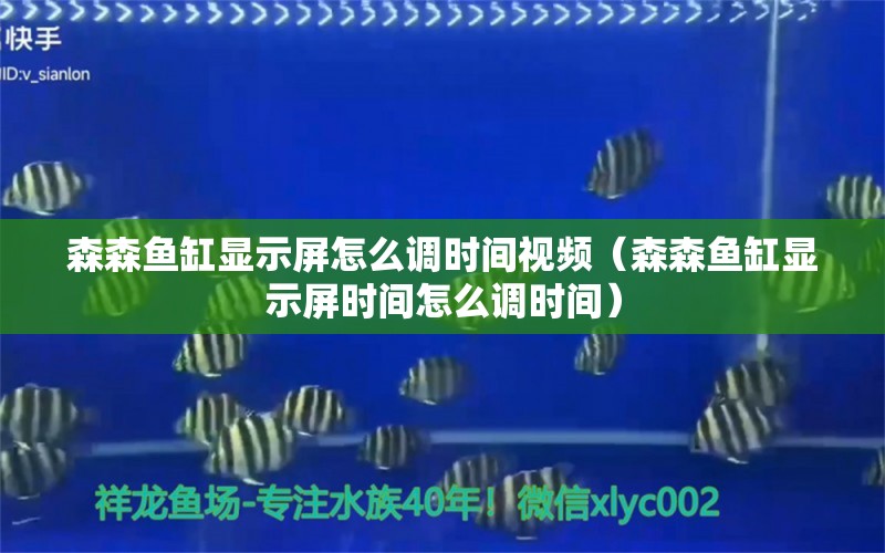 森森鱼缸显示屏怎么调时间视频（森森鱼缸显示屏时间怎么调时间）