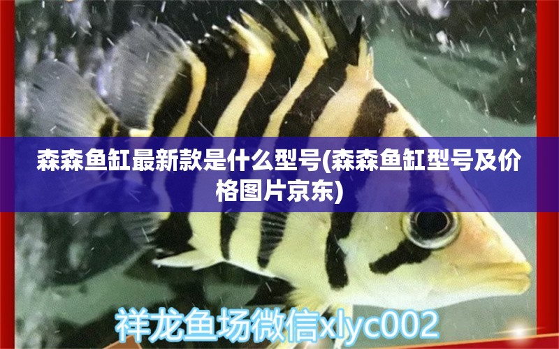 森森鱼缸最新款是什么型号(森森鱼缸型号及价格图片京东)