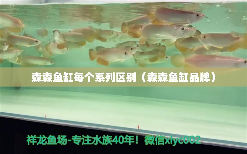 森森鱼缸每个系列区别（森森鱼缸品牌）