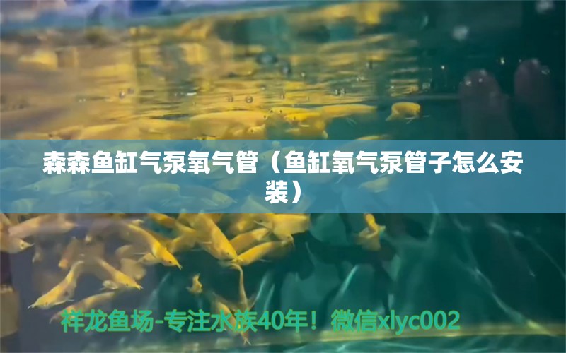 森森鱼缸气泵氧气管（鱼缸氧气泵管子怎么安装）