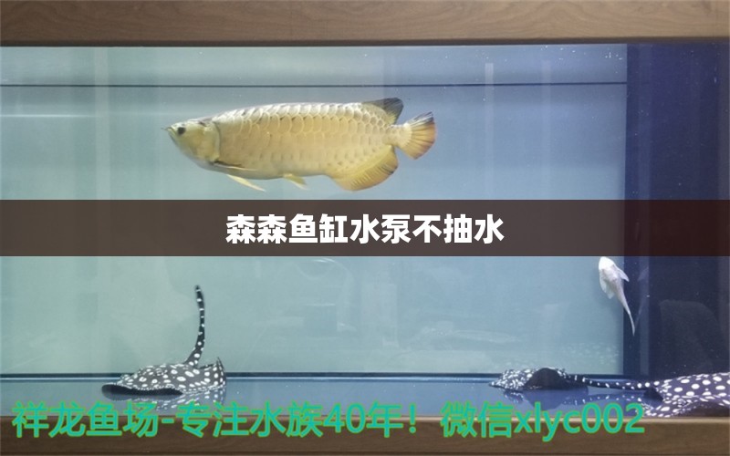 森森鱼缸水泵不抽水