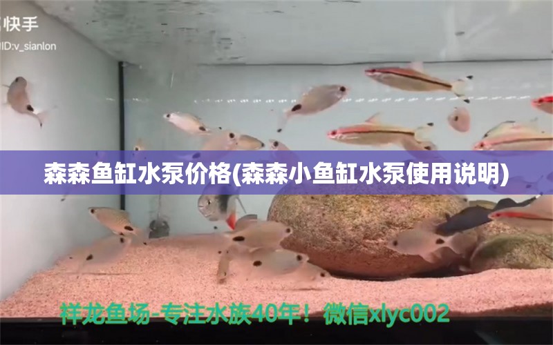 森森鱼缸水泵价格(森森小鱼缸水泵使用说明)