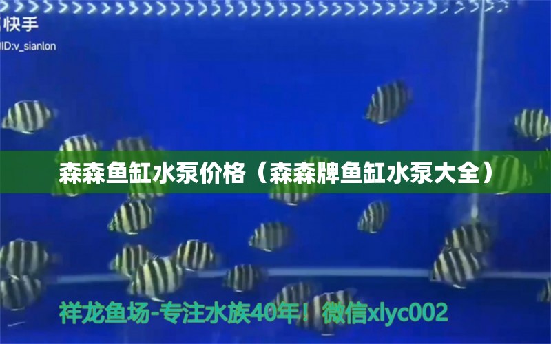 森森鱼缸水泵价格（森森牌鱼缸水泵大全） 鱼缸水泵