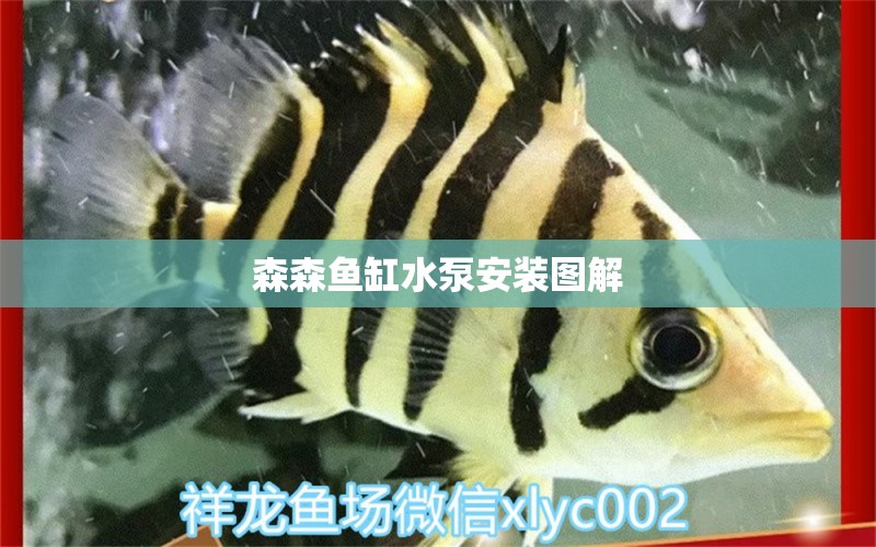 森森鱼缸水泵安装图解 鱼缸水泵