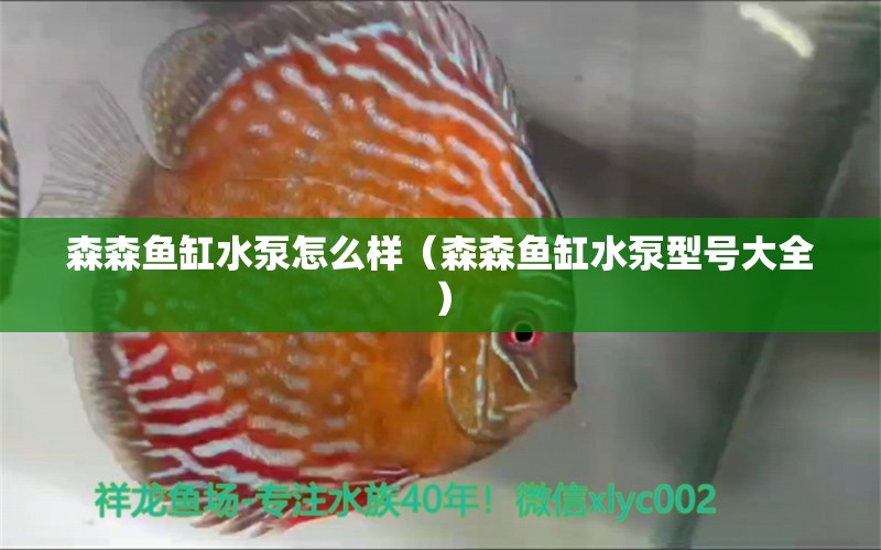 森森鱼缸水泵怎么样（森森鱼缸水泵型号大全） 鱼缸水泵