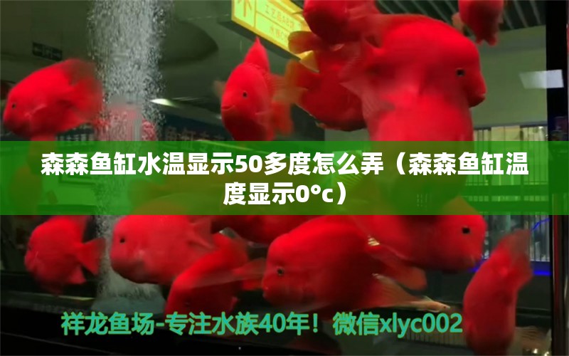 森森鱼缸水温显示50多度怎么弄（森森鱼缸温度显示0°c） 广州龙鱼批发市场