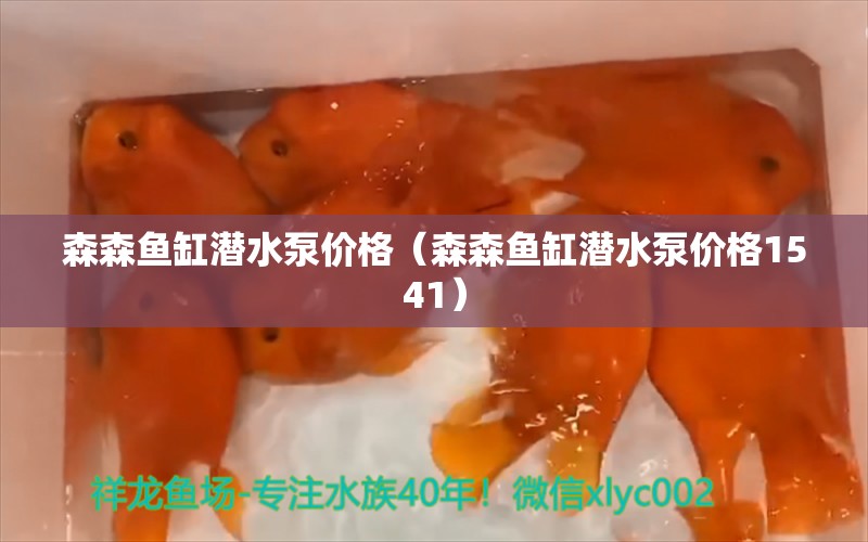 森森鱼缸潜水泵价格（森森鱼缸潜水泵价格1541）