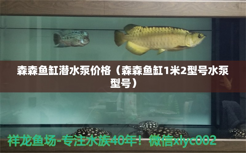 森森鱼缸潜水泵价格（森森鱼缸1米2型号水泵型号） 观赏鱼批发