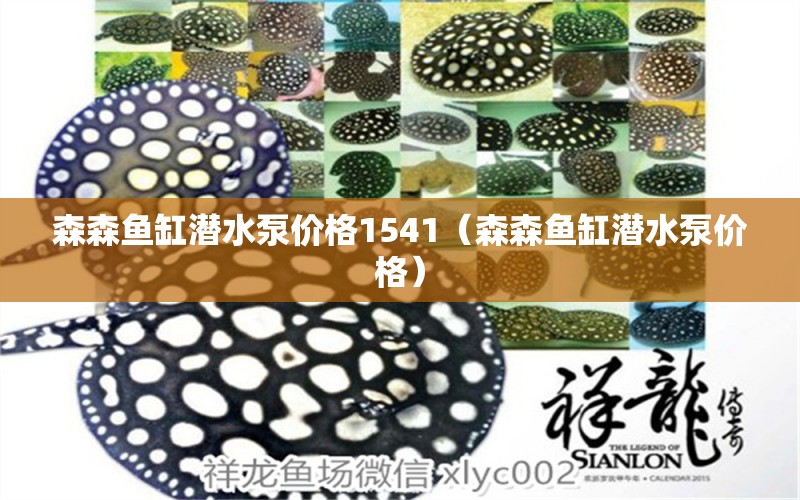 森森鱼缸潜水泵价格1541（森森鱼缸潜水泵价格）