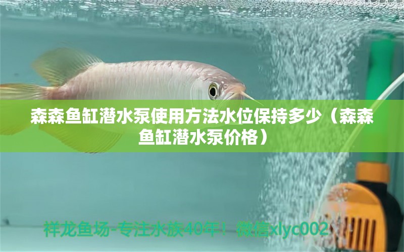 森森鱼缸潜水泵使用方法水位保持多少（森森鱼缸潜水泵价格）