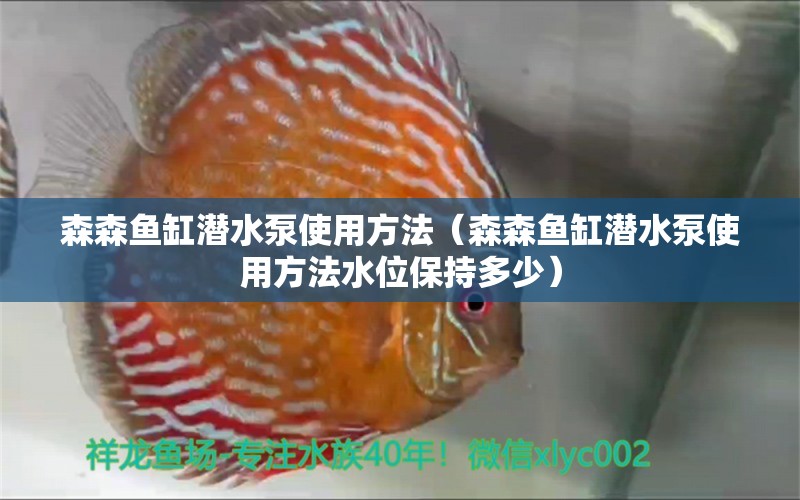 森森鱼缸潜水泵使用方法（森森鱼缸潜水泵使用方法水位保持多少）