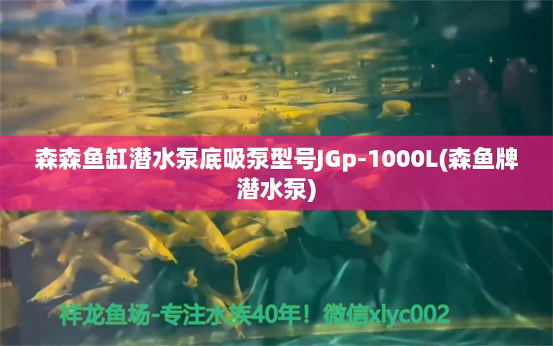 森森鱼缸潜水泵底吸泵型号JGp-1000L(森鱼牌潜水泵)