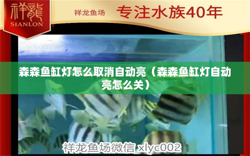 森森鱼缸灯怎么取消自动亮（森森鱼缸灯自动亮怎么关） 广州龙鱼批发市场