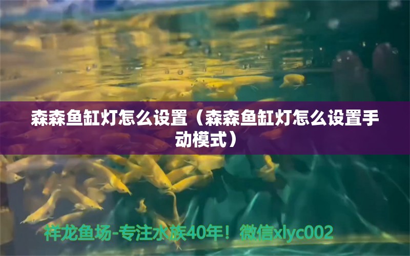 森森鱼缸灯怎么设置（森森鱼缸灯怎么设置手动模式） 森森鱼缸