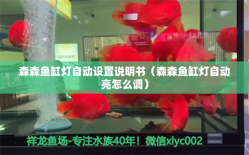 森森鱼缸灯自动设置说明书（森森鱼缸灯自动亮怎么调） 祥龙鱼场