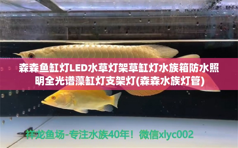 森森鱼缸灯LED水草灯架草缸灯水族箱防水照明全光谱藻缸灯支架灯(森森水族灯管) 鱼缸/水族箱 第1张