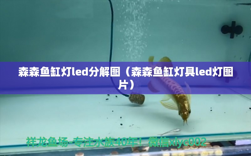 森森鱼缸灯led分解图（森森鱼缸灯具led灯图片）