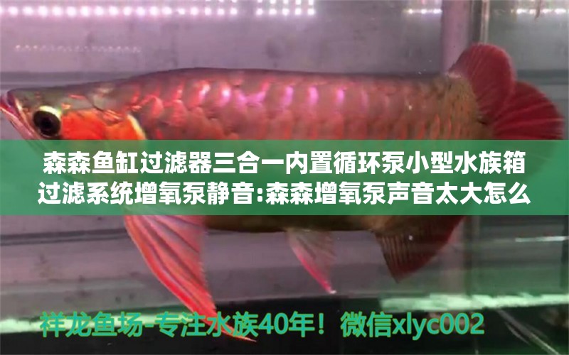 森森鱼缸过滤器三合一内置循环泵小型水族箱过滤系统增氧泵静音:森森增氧泵声音太大怎么解决